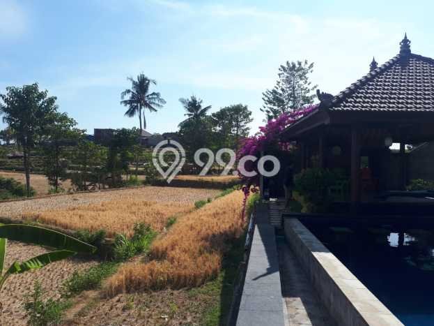 For Sale! Luxury House LT 1500m2 Desain Modern di Lovina For Sale! Luxury House LT 1500m2 Desain Modern di Lovina