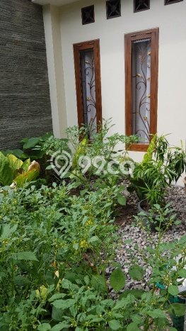 Dijual Rumah Premium dengan Fasilitas Sekitar Lengkap di Banjarsari, Solo Dijual Rumah Premium dengan Fasilitas Sekitar Lengkap di Banjarsari, Solo