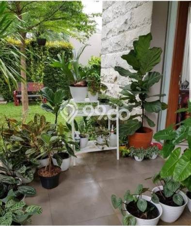 Rumah Luxury Modern Siap Huni di Cibubur Jakarta Timur Rumah Luxury Modern Siap Huni di Cibubur Jakarta Timur
