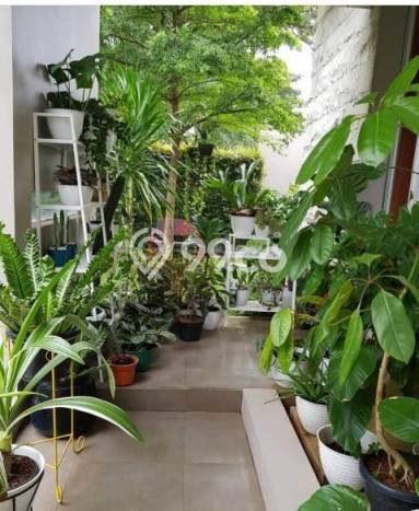 Rumah Luxury Modern Siap Huni di Cibubur Jakarta Timur Rumah Luxury Modern Siap Huni di Cibubur Jakarta Timur