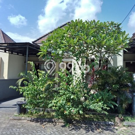 Rumah Kontrakan Badung LT 103m2 LB 54m2 Area Jimbaran Rumah Kontrakan Badung LT 103m2 LB 54m2 Area Jimbaran