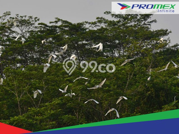 Jual Cepat Rumah Terawat di Kawasan Bekasi, Bekasi Jual Cepat Rumah Terawat di Kawasan Bekasi, Bekasi