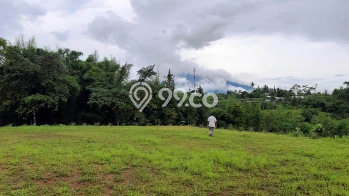 Rumah Luxury Modern Tanpa Renovasi di Puncak Bogor Rumah Luxury Modern Tanpa Renovasi di Puncak Bogor