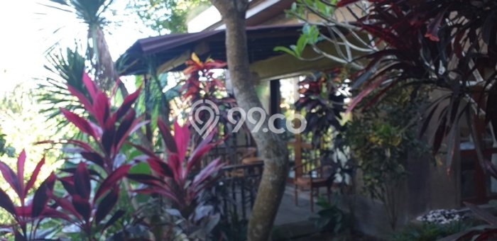 Best Deal Hunian Mewah Ideal dan Luas di Ubud, Gianyar Best Deal Hunian Mewah Ideal dan Luas di Ubud, Gianyar