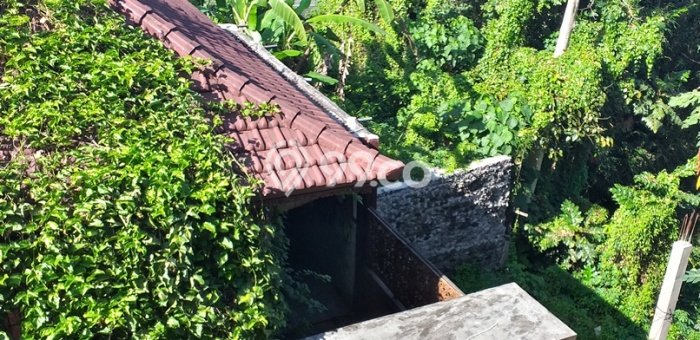 Best Deal Hunian Mewah Ideal dan Luas di Ubud, Gianyar Best Deal Hunian Mewah Ideal dan Luas di Ubud, Gianyar