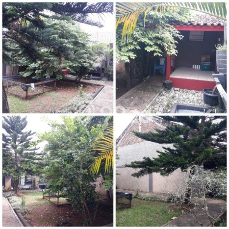 HUNIAN PILIHAN! Rumah area Kramatwatu, LT 168m² Bangunan 50m² HUNIAN PILIHAN! Rumah area Kramatwatu, LT 168m² Bangunan 50m²