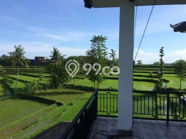Hunian Elit LB 800m2 Siap Pakai Desain Elegan di Lovina, Buleleng Hunian Elit LB 800m2 Siap Pakai Desain Elegan di Lovina, Buleleng
