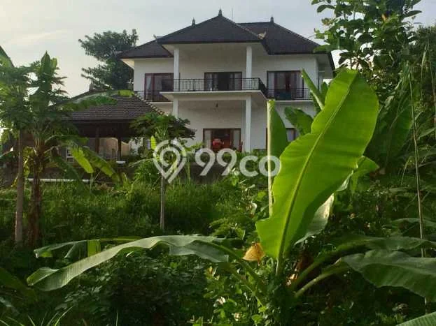Hunian Elit LB 800m2 Siap Pakai Desain Elegan di Lovina, Buleleng Hunian Elit LB 800m2 Siap Pakai Desain Elegan di Lovina, Buleleng