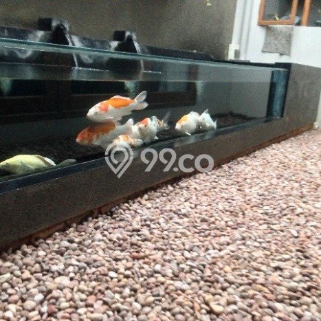 Siap Huni Rumah Mewah 5 Kamar di Jagakarsa Dekat ke Mana Saja Siap Huni Rumah Mewah 5 Kamar di Jagakarsa Dekat ke Mana Saja