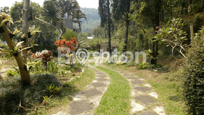 Best Deal Hunian Premium Ideal dan Luas di Bumiaji, Batu Best Deal Hunian Premium Ideal dan Luas di Bumiaji, Batu