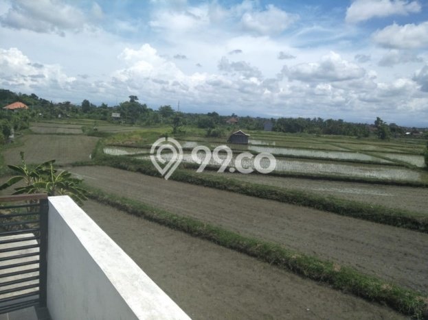 Jual Rumah Bagus Siap Huni LB 120m2 di Denpasar Timur, Denpasar Jual Rumah Bagus Siap Huni LB 120m2 di Denpasar Timur, Denpasar
