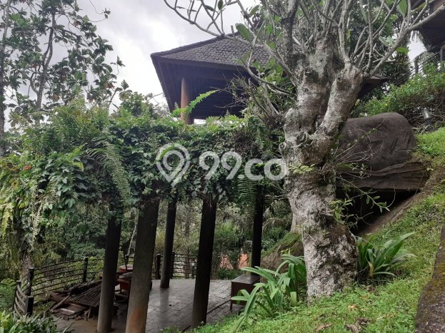 Dijual Hunian Mewah dengan Fasilitas Sekitar Lengkap di Caringin, Bogor Dijual Hunian Mewah dengan Fasilitas Sekitar Lengkap di Caringin, Bogor