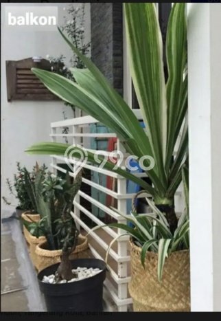 Hunian Nyaman Asri 2 KT Siap Pakai di Green Lake City Jakarta Barat Hunian Nyaman Asri 2 KT Siap Pakai di Green Lake City Jakarta Barat