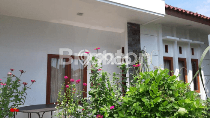 Dijual Cepat Rumah Bagus Siap Huni LB 285m2 di Pekalongan Barat, Pekalongan Dijual Cepat Rumah Bagus Siap Huni LB 285m2 di Pekalongan Barat, Pekalongan