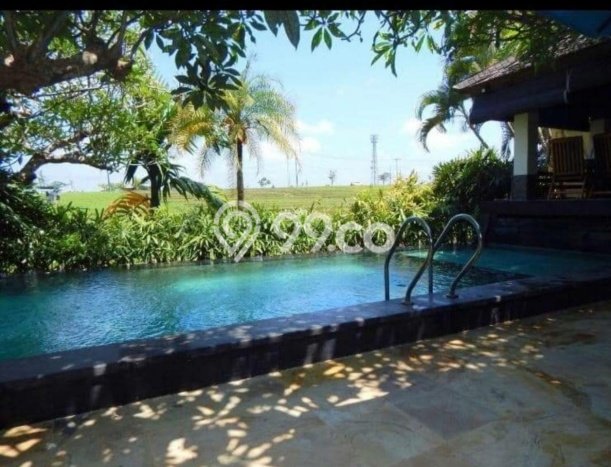 Rumah Elit Modern Tanpa Renovasi di canggu Badung Rumah Elit Modern Tanpa Renovasi di canggu Badung