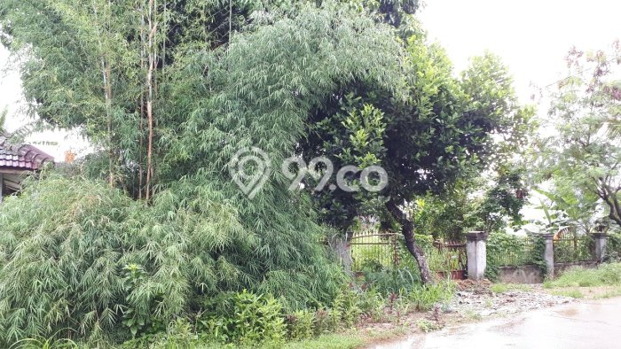 Dijual Rumah 2 Kamar Lokasi Strategis Nyaman dan Strategis di Pamulang Dijual Rumah 2 Kamar Lokasi Strategis Nyaman dan Strategis di Pamulang