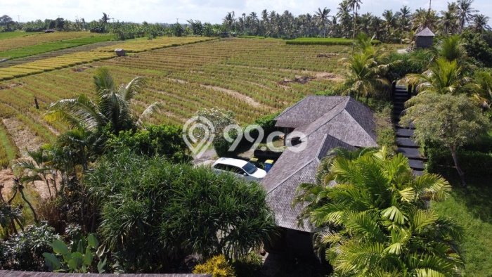 Rumah Asri 3 KT di Beraban, Tabanan - Luas Tanah 3900m² Rumah Asri 3 KT di Beraban, Tabanan - Luas Tanah 3900m²