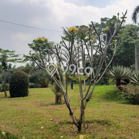 Hunian Mewah Dijual LT 13640m2 di Megamendung, Bogor Hunian Mewah Dijual LT 13640m2 di Megamendung, Bogor