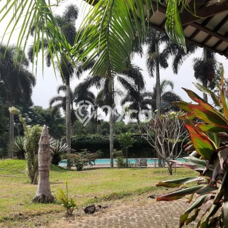 Hunian Mewah Dijual LT 13640m2 di Megamendung, Bogor Hunian Mewah Dijual LT 13640m2 di Megamendung, Bogor