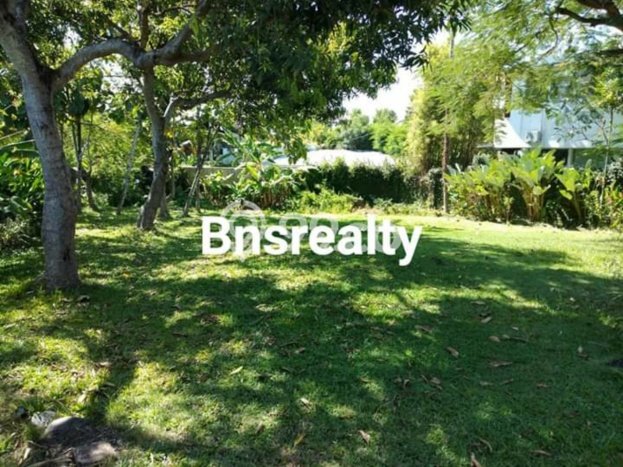 DIJUAL CEPAT! Rumah area Canggu, Badung, LT 1950m2m² Bangunan 1365m2m² BISA KPR! DIJUAL CEPAT! Rumah area Canggu, Badung, LT 1950m2m² Bangunan 1365m2m² BISA KPR!