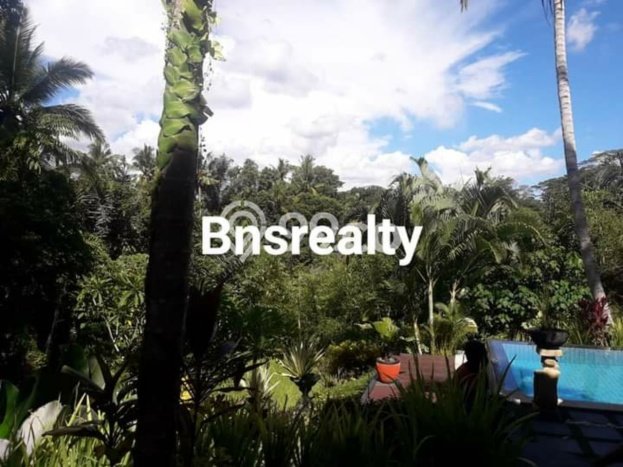 Rumah dengan Lokasi Strategis 4 KT di Ubud, Gianyar Rumah dengan Lokasi Strategis 4 KT di Ubud, Gianyar