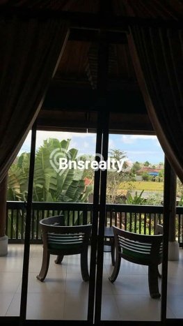 HARGA SPESIAL! Rumah Premium di Canggu, Badung, LT 750m2m² LB 500m2m² Bisa Nego! HARGA SPESIAL! Rumah Premium di Canggu, Badung, LT 750m2m² LB 500m2m² Bisa Nego!