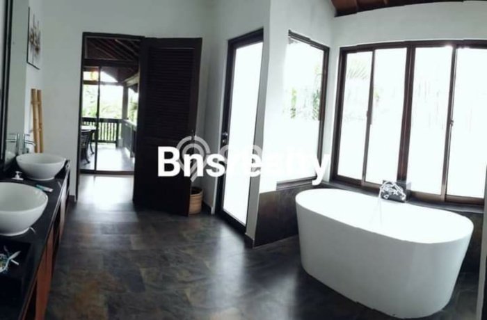 HARGA SPESIAL! Rumah Premium di Canggu, Badung, LT 750m2m² LB 500m2m² Bisa Nego! HARGA SPESIAL! Rumah Premium di Canggu, Badung, LT 750m2m² LB 500m2m² Bisa Nego!