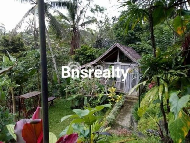 Rumah LT 2150m2m² Lokasi Premium di Kawasan Elite Tegallalang, Gianyar Rumah LT 2150m2m² Lokasi Premium di Kawasan Elite Tegallalang, Gianyar