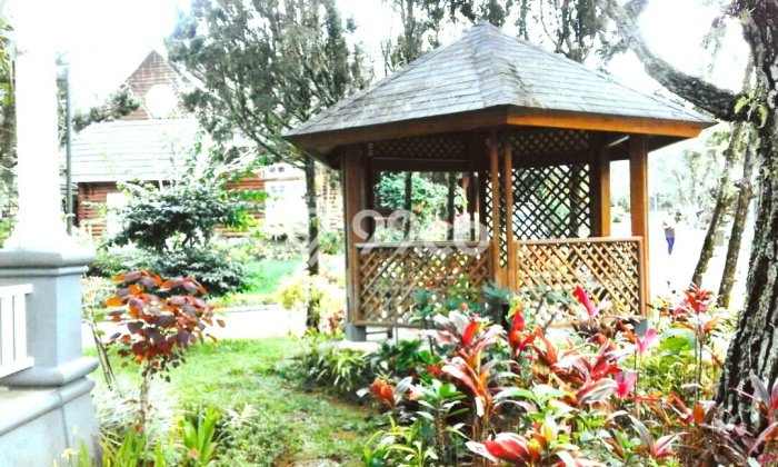Rumah LT 240m² Akses Strategis di Cipanas, Dekat Pusat Kota, Cianjur Rumah LT 240m² Akses Strategis di Cipanas, Dekat Pusat Kota, Cianjur
