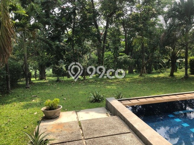 Luxury Modern House For Lease BSD City Area (SPACIOUS BACKYARD & SWIMMING POOL) Luxury Modern House For Lease BSD City Area (SPACIOUS BACKYARD & SWIMMING POOL)