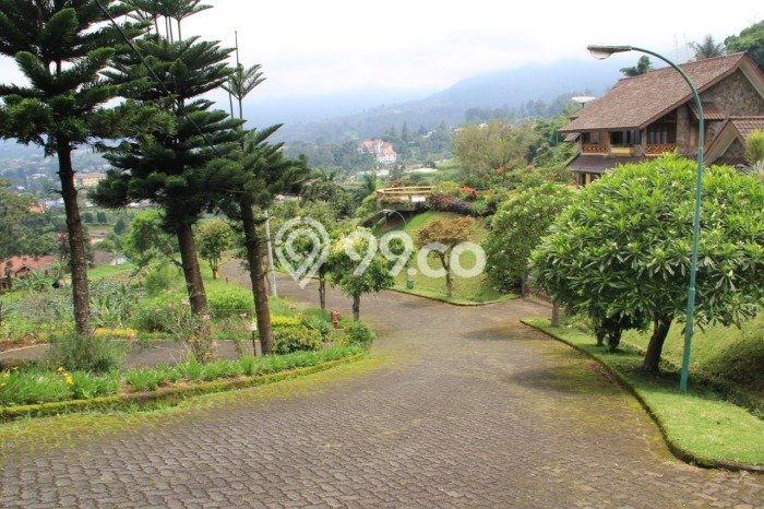 Rumah di Puncak, LT 1000m², LB 200m² Rumah di Puncak, LT 1000m², LB 200m²