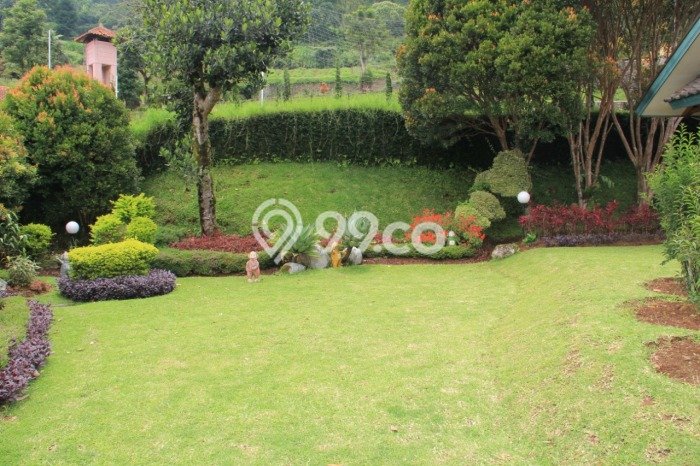 Rumah di Puncak, LT 1000m², LB 200m² Rumah di Puncak, LT 1000m², LB 200m²