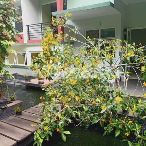 Hunian Super Mewah dengan Akses Paling Strategis di BSD, Tangerang Hunian Super Mewah dengan Akses Paling Strategis di BSD, Tangerang