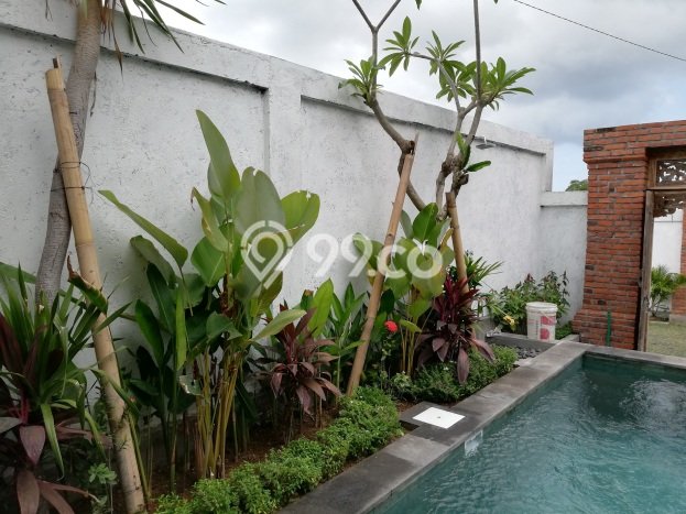 Disewakan! Rumah 3 Kamar Tidur &
3 Kamar Mandi di canggu, Badung Disewakan! Rumah 3 Kamar Tidur &
3 Kamar Mandi di canggu, Badung