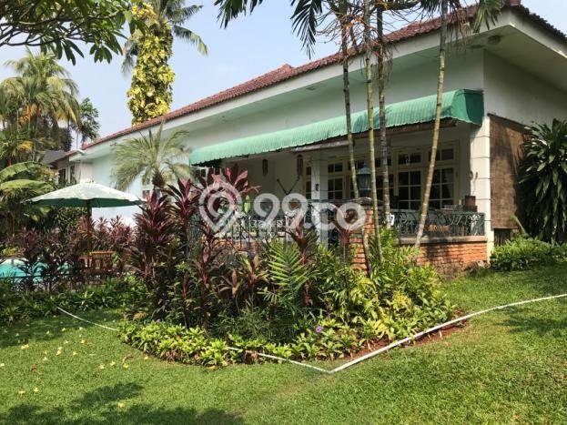 Rumah Mewah LB 550m2 Siap Pakai Desain Elegan di Pejaten, Jakarta Selatan Rumah Mewah LB 550m2 Siap Pakai Desain Elegan di Pejaten, Jakarta Selatan
