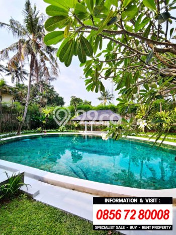 Dijual Rumah Mewah Exclusive di Jagakarsa, Jakarta Selatan Dijual Rumah Mewah Exclusive di Jagakarsa, Jakarta Selatan