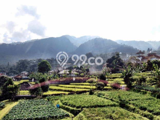 Dijual Rumah Mewah Exclusive di Cisarua, Bogor Dijual Rumah Mewah Exclusive di Cisarua, Bogor
