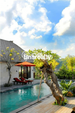 PROMO SPESIAL! Rumah Ready Stock di Canggu, Badung, LT 800m2m² Bangunan 550m2m² PROMO SPESIAL! Rumah Ready Stock di Canggu, Badung, LT 800m2m² Bangunan 550m2m²