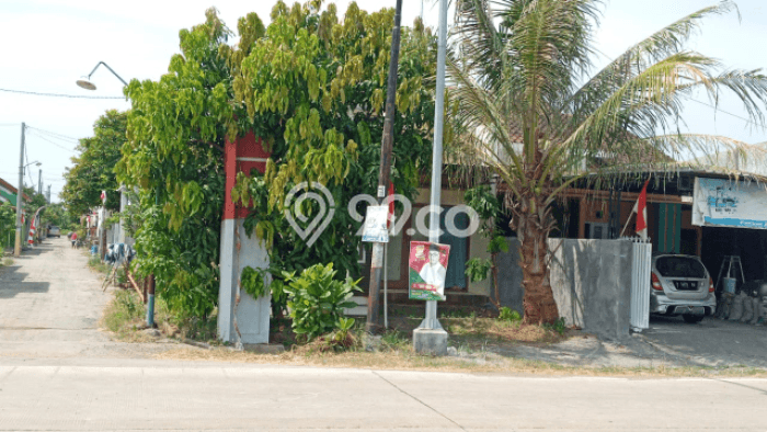Jual Rumah Strategis Bagus Punya 1 KT di Gemuh Kendal SHM Jual Rumah Strategis Bagus Punya 1 KT di Gemuh Kendal SHM