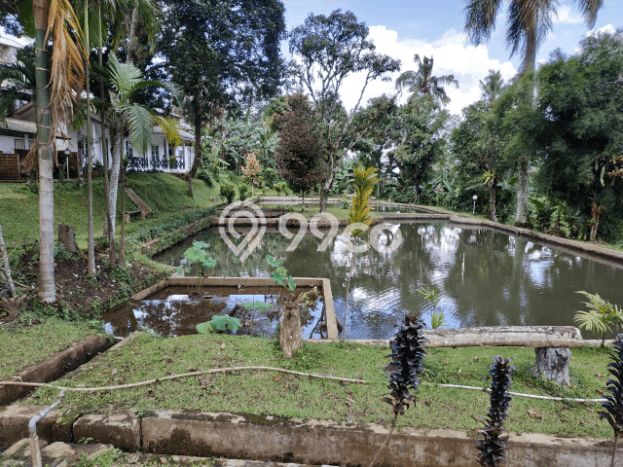 Best Deal Hunian Mewah Ideal dan Luas di Ciawi, Bogor Best Deal Hunian Mewah Ideal dan Luas di Ciawi, Bogor