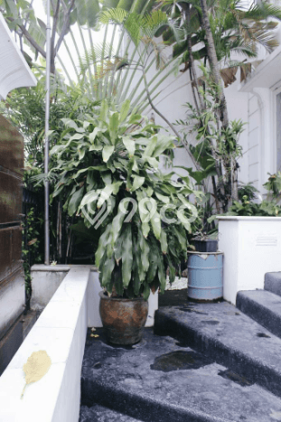 Rumah Elit Modern Tanpa Renovasi di Rawamangun Jakarta Timur Rumah Elit Modern Tanpa Renovasi di Rawamangun Jakarta Timur