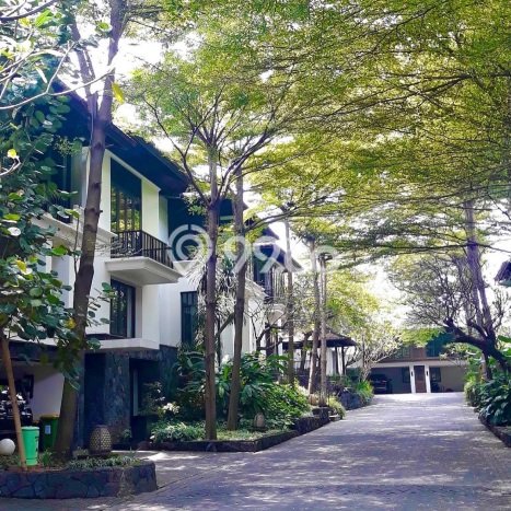 Rumah Bagus Disewakan di Pejaten, Jakarta Selatan LT 400m2, LB 500m2 Rumah Bagus Disewakan di Pejaten, Jakarta Selatan LT 400m2, LB 500m2