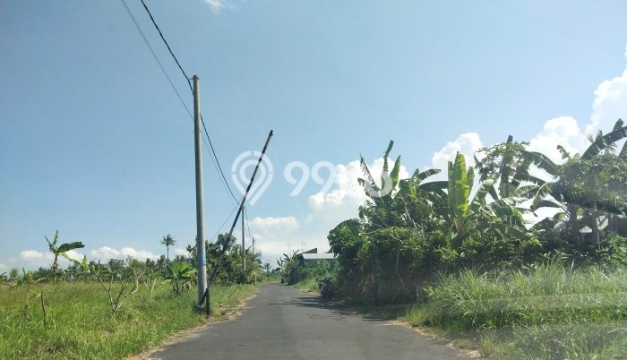 PENAWARAN TERBATAS! Rumah Premium area Saba, Luas 200m² LB 200m² PENAWARAN TERBATAS! Rumah Premium area Saba, Luas 200m² LB 200m²