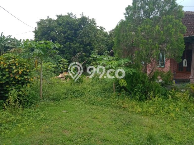 Rumah Terawat di Prambanan, Sleman, Luas Tanah 1006m2m², LB 75m2m² Rumah Terawat di Prambanan, Sleman, Luas Tanah 1006m2m², LB 75m2m²