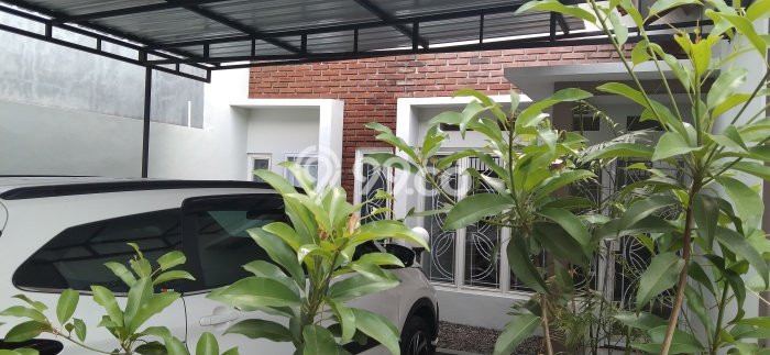 Disewakan Cepat Rumah Kondisi Baik di Kawasan Laweyan, Solo Disewakan Cepat Rumah Kondisi Baik di Kawasan Laweyan, Solo