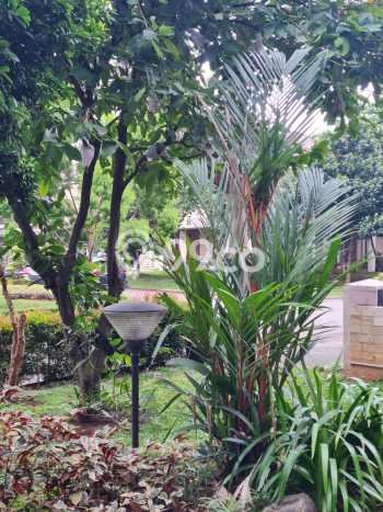 Jual Rumah Luas Elegan Dengan View Cantik di Alam Sutera, Tangerang Jual Rumah Luas Elegan Dengan View Cantik di Alam Sutera, Tangerang