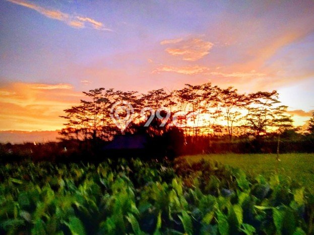 Dijual Cepat Rumah Bagus Siap Huni LB 80m2 di Bogor Barat, Bogor Dijual Cepat Rumah Bagus Siap Huni LB 80m2 di Bogor Barat, Bogor