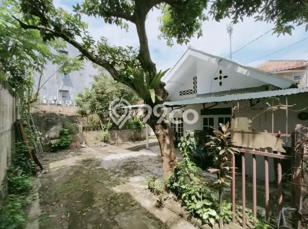 Rumah Luas Asri 4 KT Siap Pakai di Sempur Bogor Rumah Luas Asri 4 KT Siap Pakai di Sempur Bogor