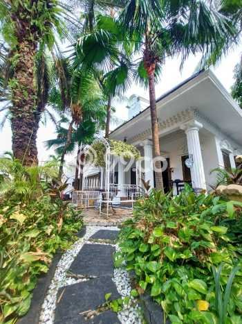 For Sale Rumah Mewah Exclusive di Menteng, Jakarta Pusat For Sale Rumah Mewah Exclusive di Menteng, Jakarta Pusat