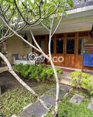 DIJUAL CEPAT! Rumah Nyaman area Sewon, Bantul, Luas 1300m2m² LB 500m2m² Bisa Nego! DIJUAL CEPAT! Rumah Nyaman area Sewon, Bantul, Luas 1300m2m² LB 500m2m² Bisa Nego!